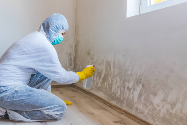 Hvac And Air Duct Mold Remediation inspection of HVAC system in Wenham